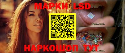 ECSTASY Новозыбков