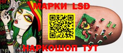 ECSTASY Новозыбков
