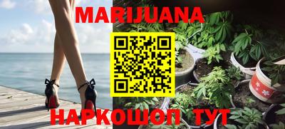 ECSTASY Новозыбков