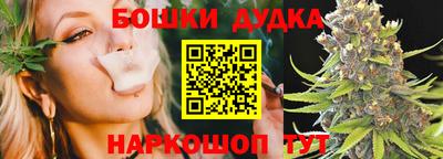ECSTASY Новозыбков