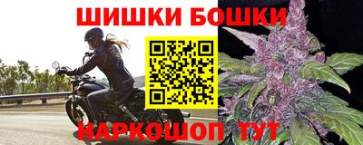 ECSTASY Новозыбков