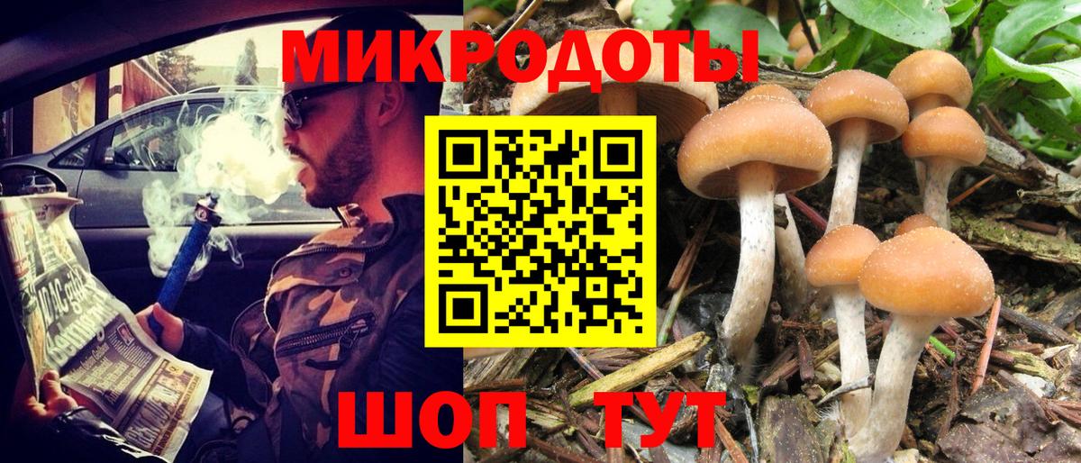 Севастополь  Псилоцибиновые грибы прущие грибы  Галлюциногенные грибы Psilocybe  Вход с VPN 